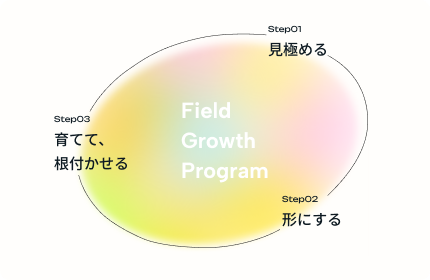 Field Growth Program の全体像。Step01 見極める・Step02 形にする・Step03 育てて、根付かせる の 3 ステップ